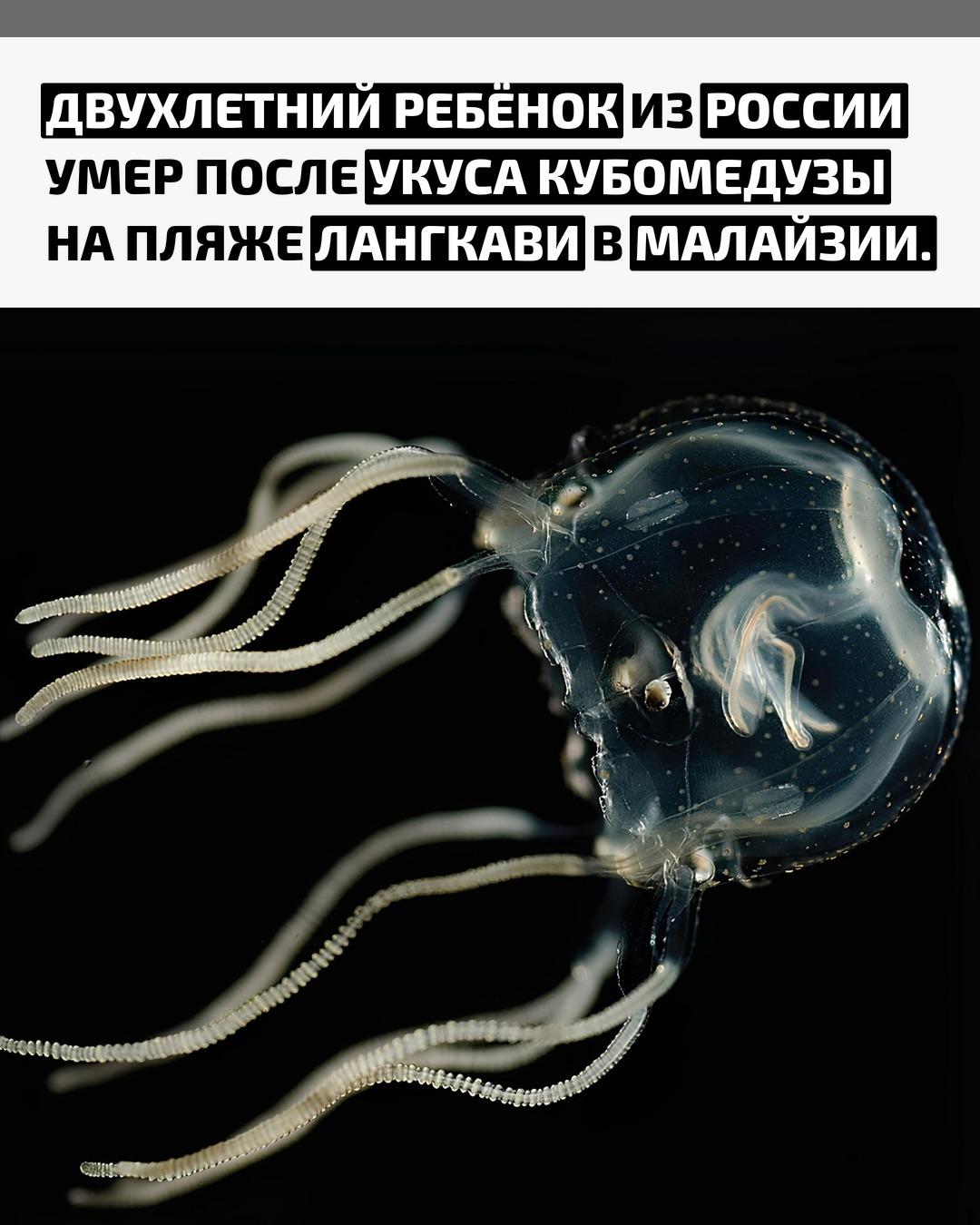 Семья из Хабаровска отдыхала на курорте, когда трагедия произошла во время купания