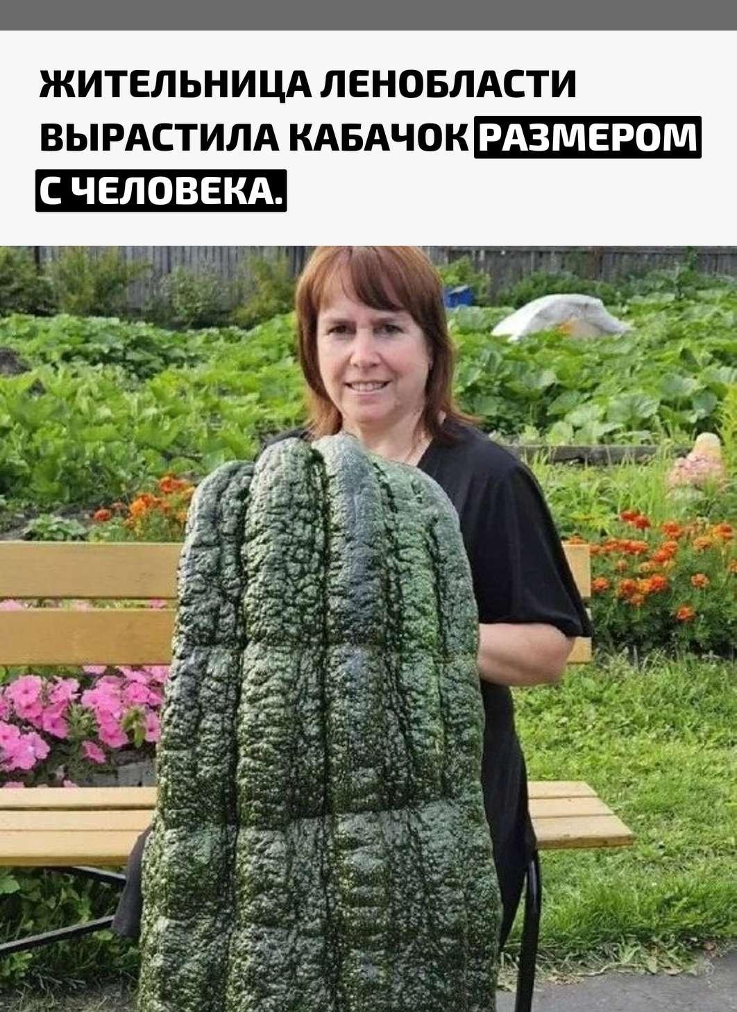 Рекорды и факты каждый день!
