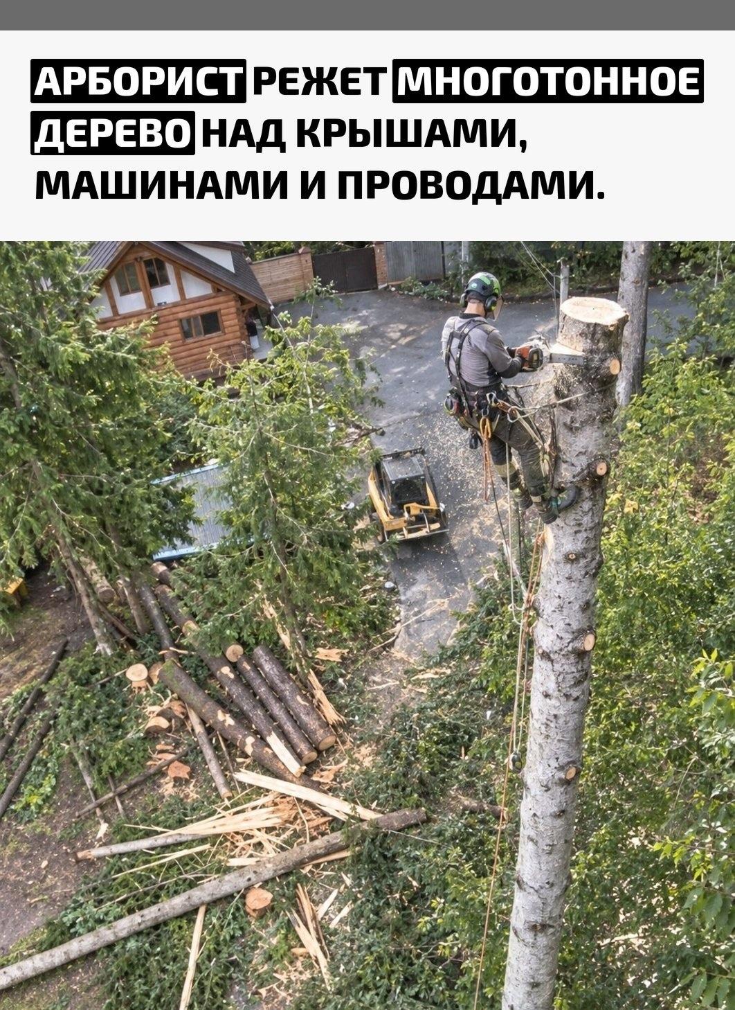 Рекорды и факты каждый день!