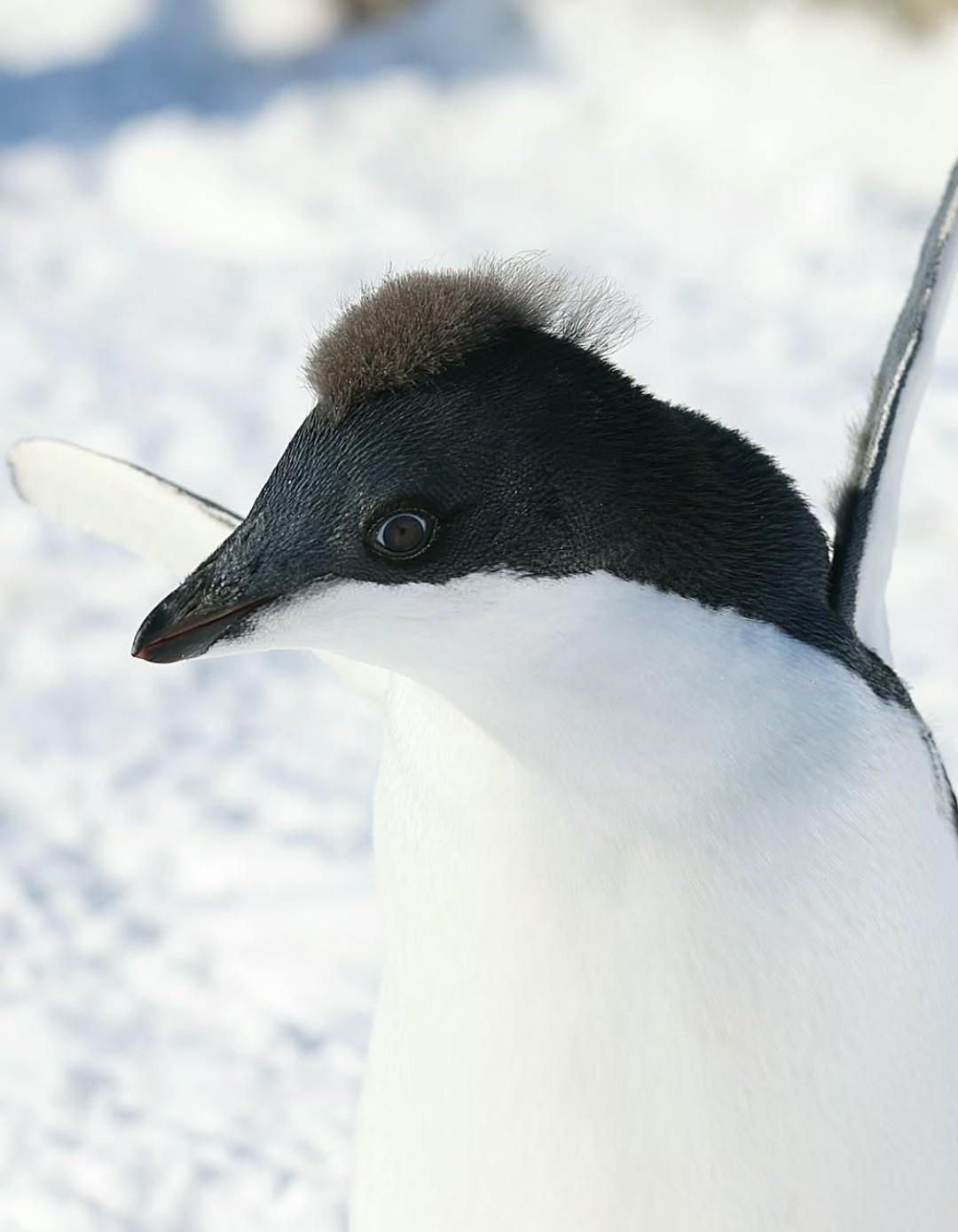 Рекорды и факты каждый день!