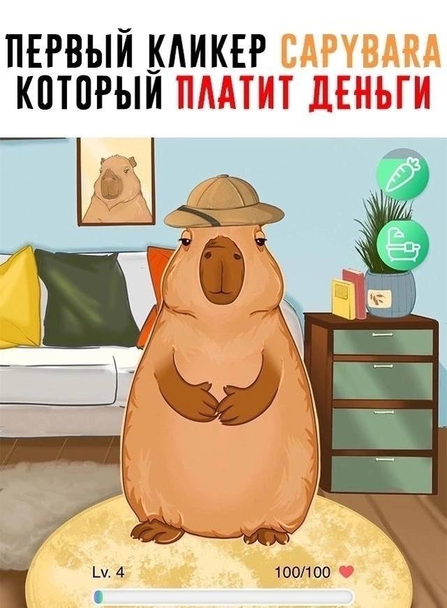 &#128584; Hamster Kombat плачет в сторонке...