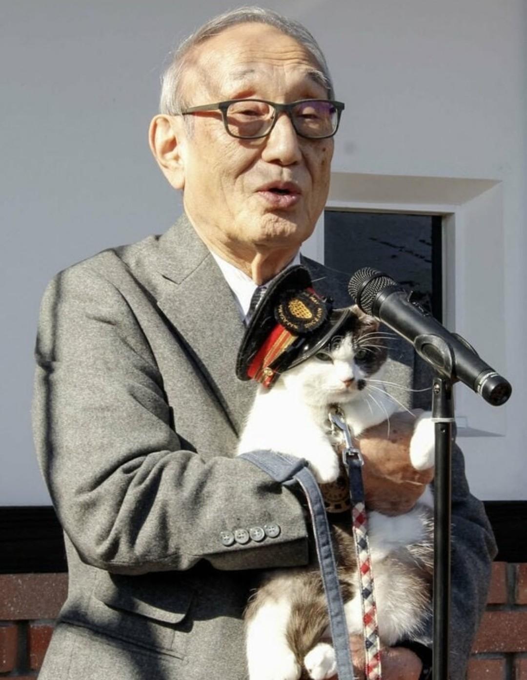 Летом 2025 года в Японии на железнодорожной станции Киси сразу три кота заступили на службу.