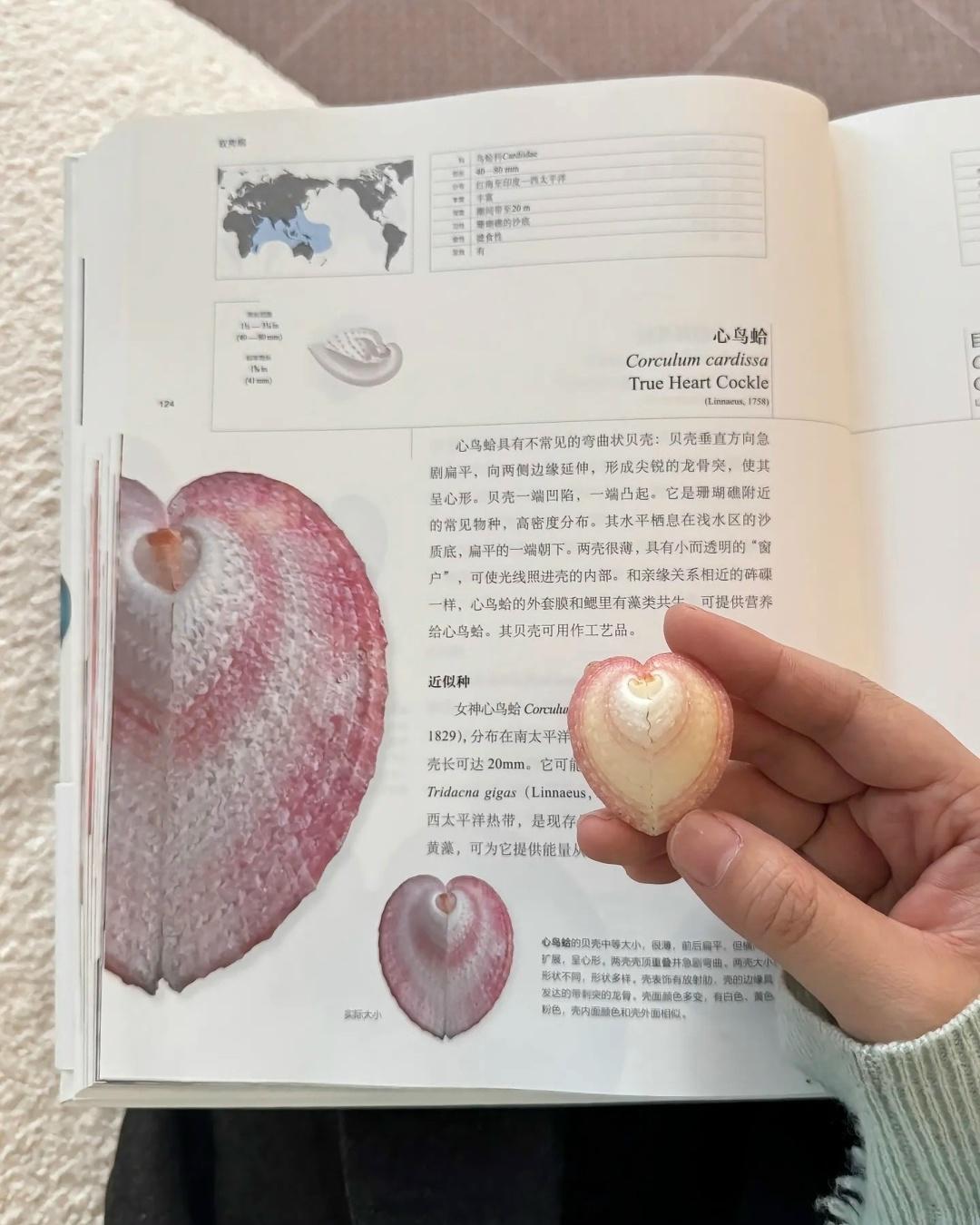 Потрясающая коллекция