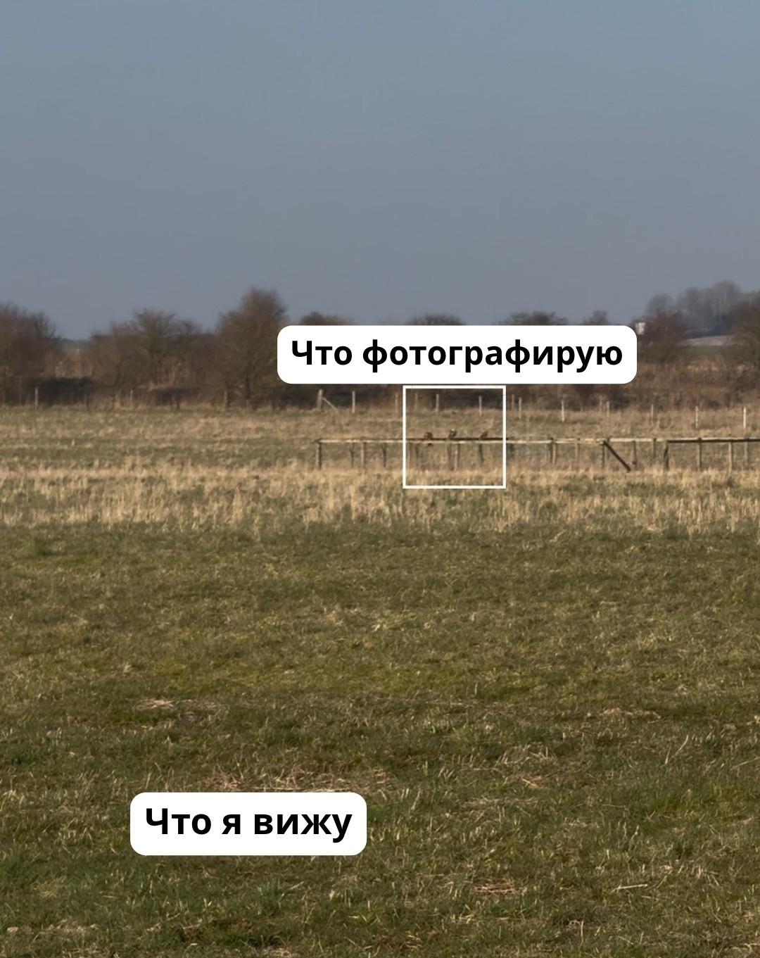 Рекорды и факты каждый день!