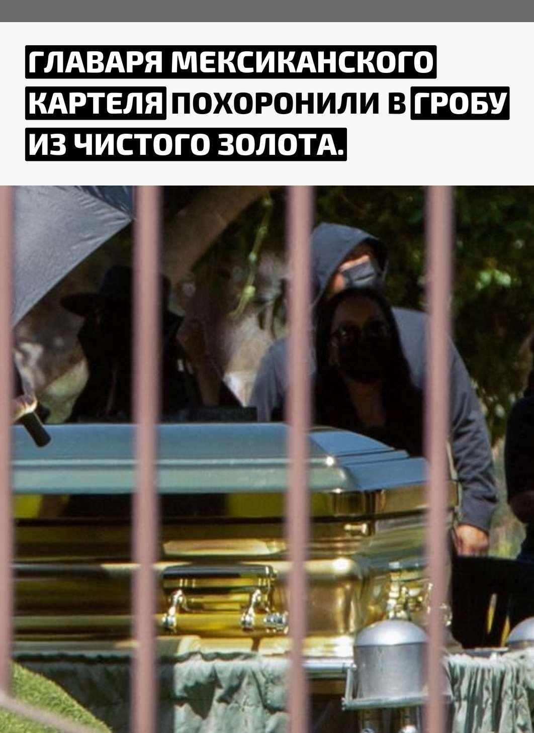 Рекорды и факты каждый день!