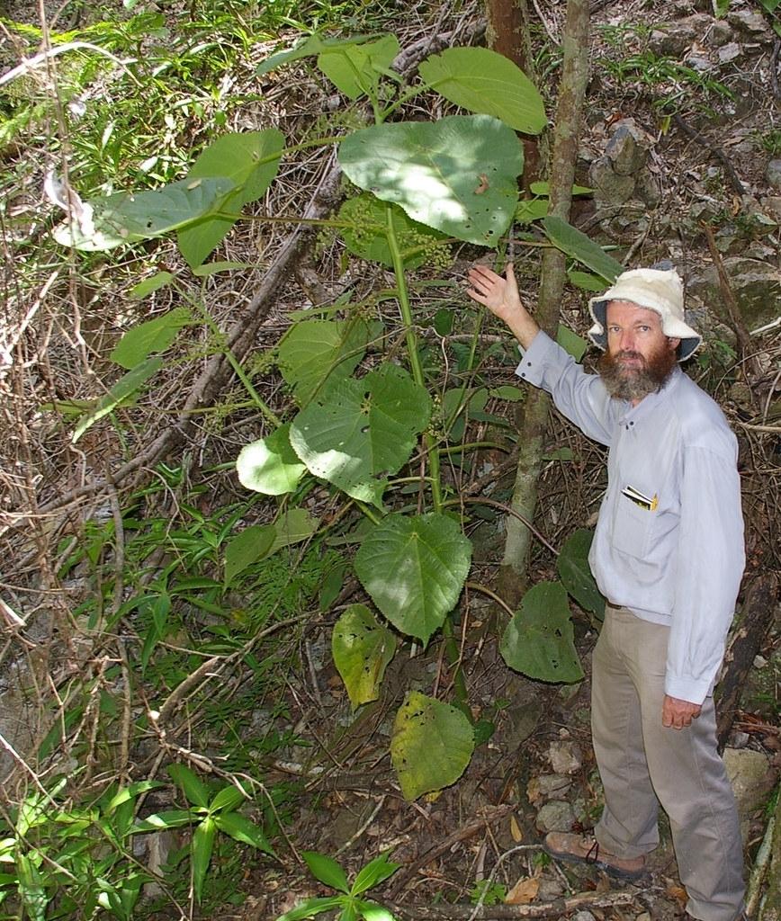 Рекорды и факты каждый день!