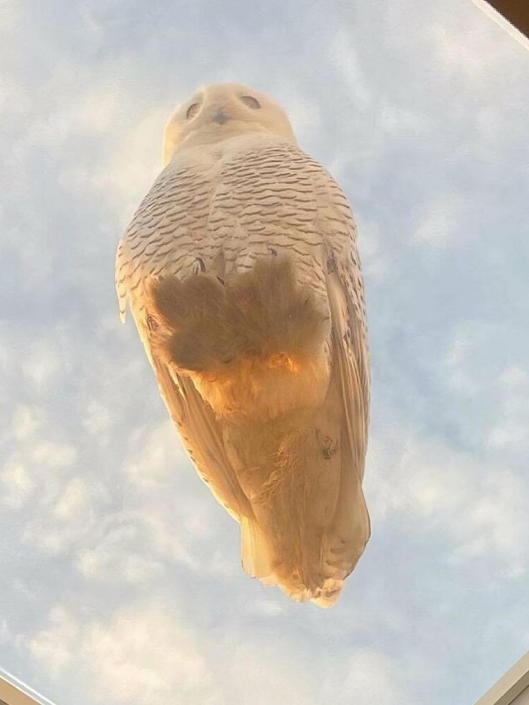 Рекорды и факты каждый день!