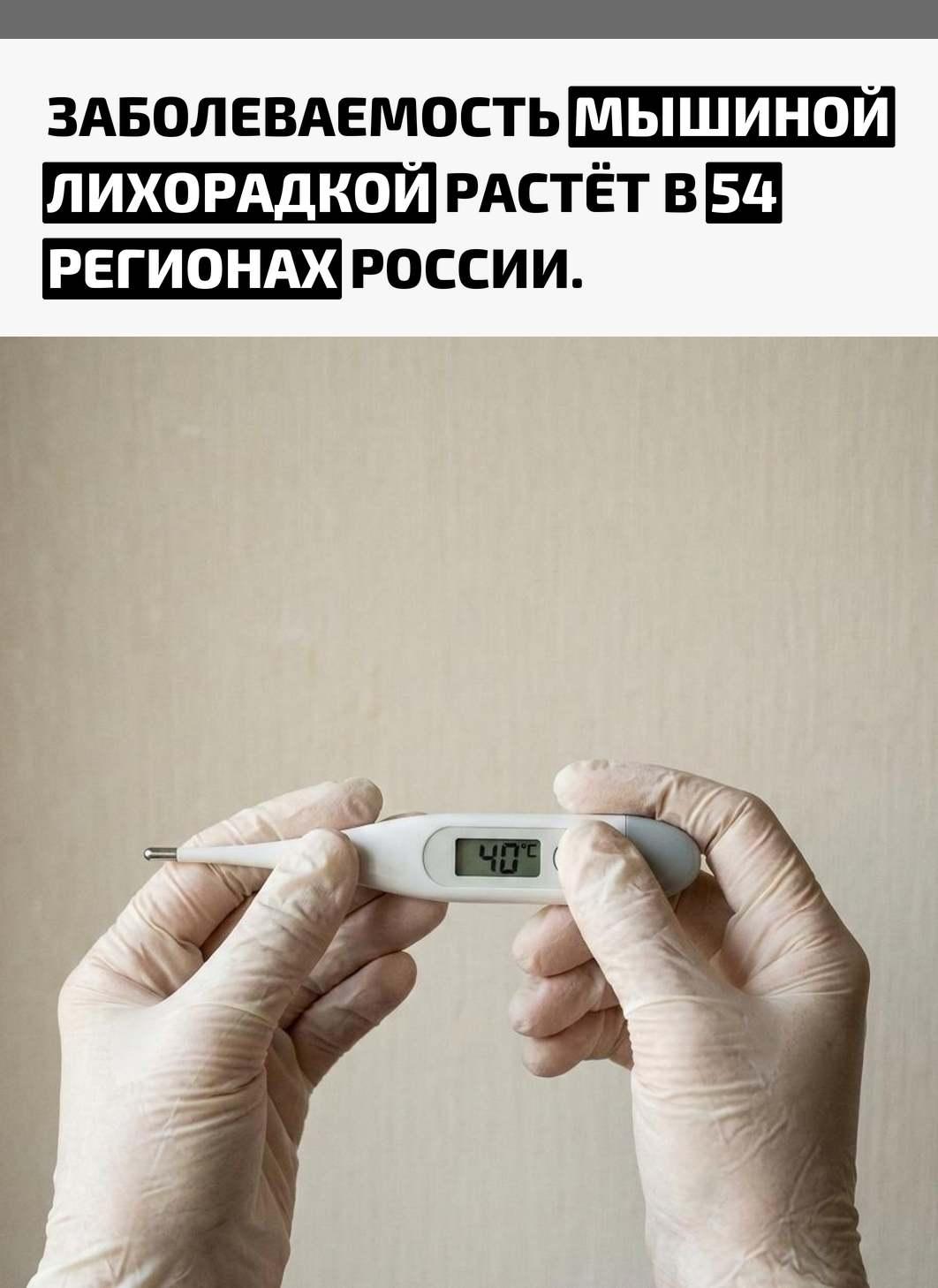 За десять месяцев этого года в стране заразились более 3,3 тысячи человек. В 86% случаях болезнь выявили у городских жителей, хотя раньше она считалась преимущественно сельской проблемой.