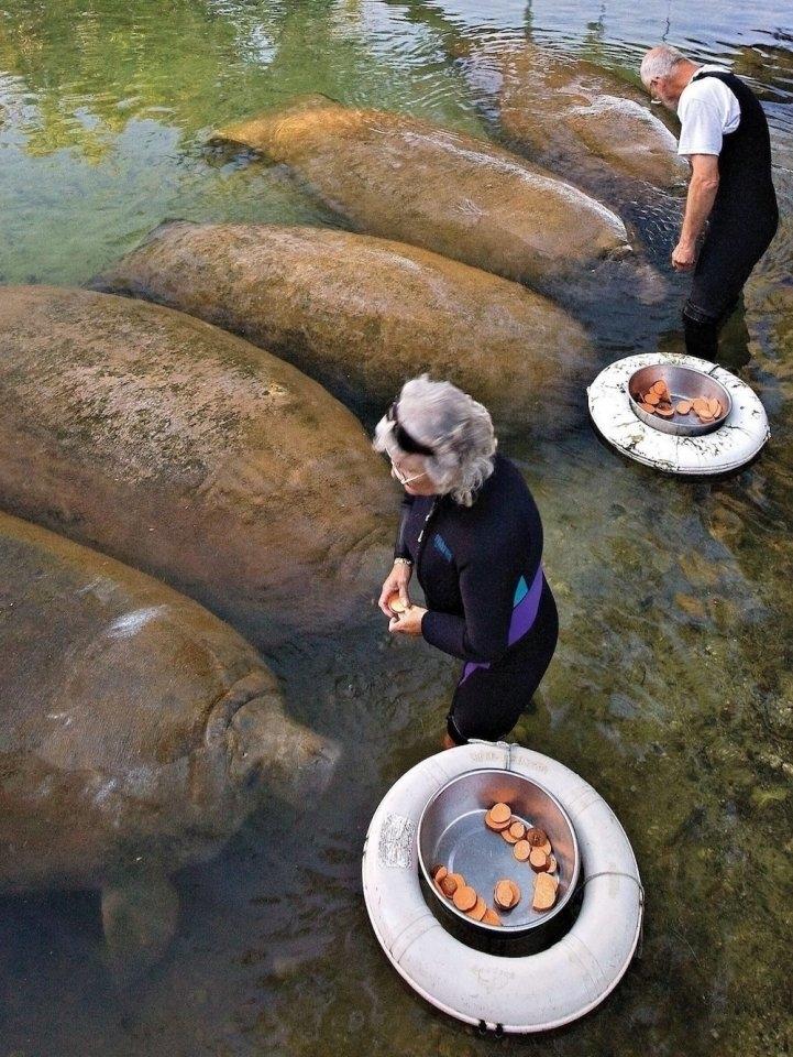 С первого взгляда кажется, будто люди стоят рядом с огромными валунами.