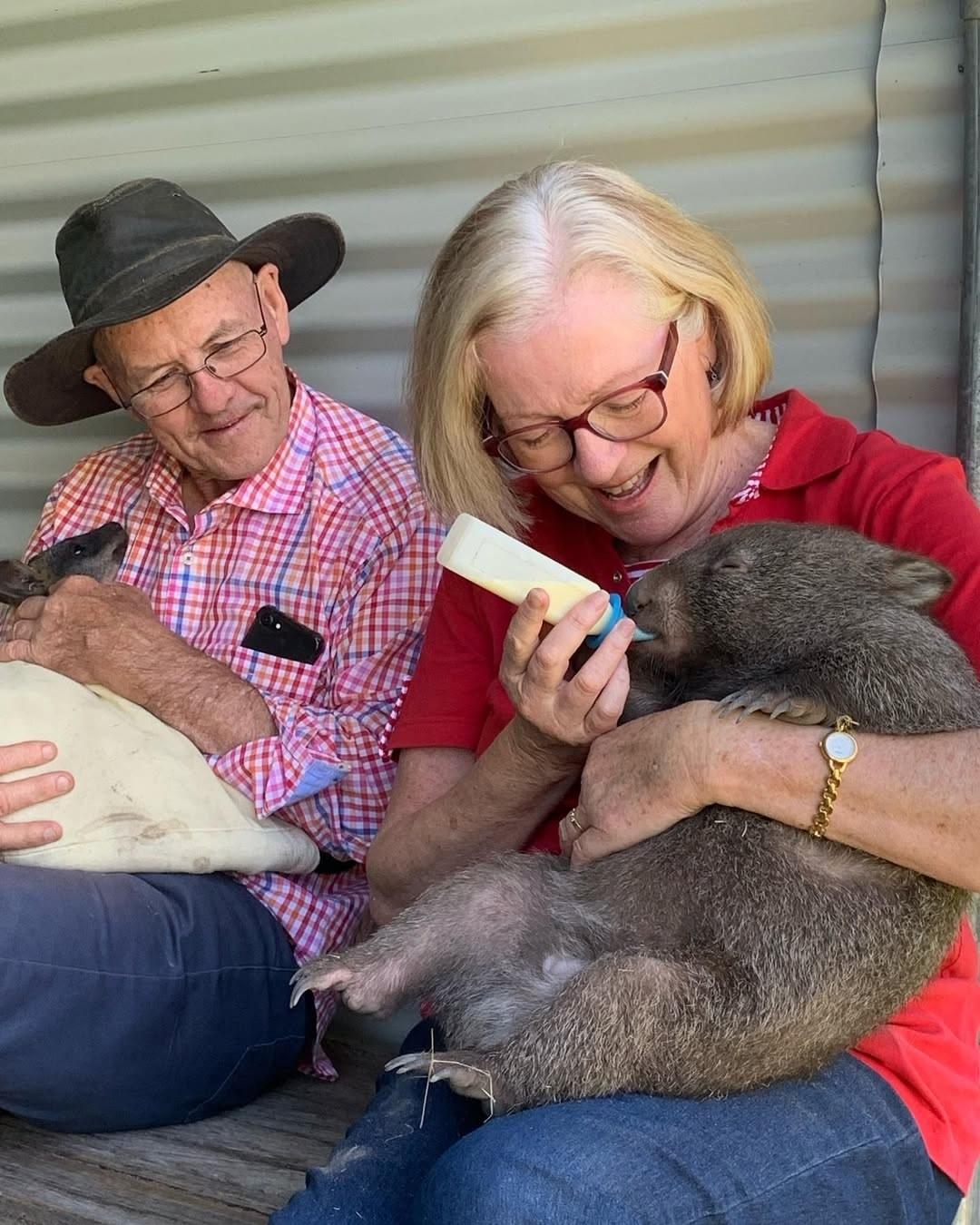 Рекорды и факты каждый день!