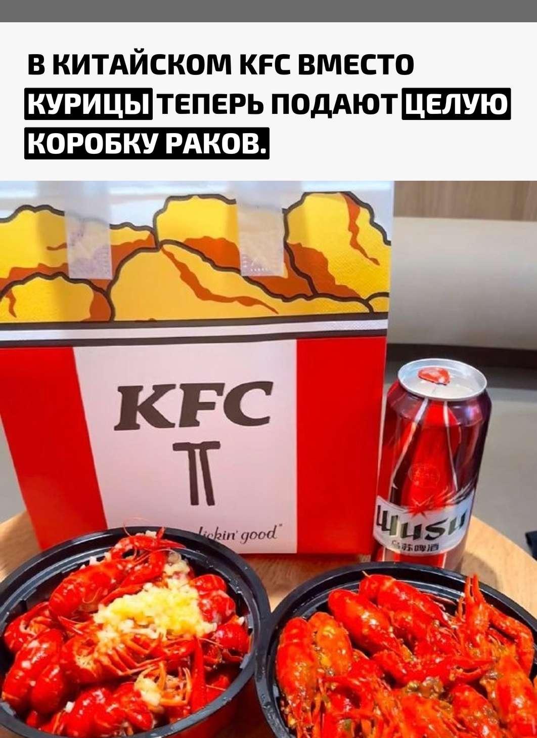 Рекорды и факты каждый день!