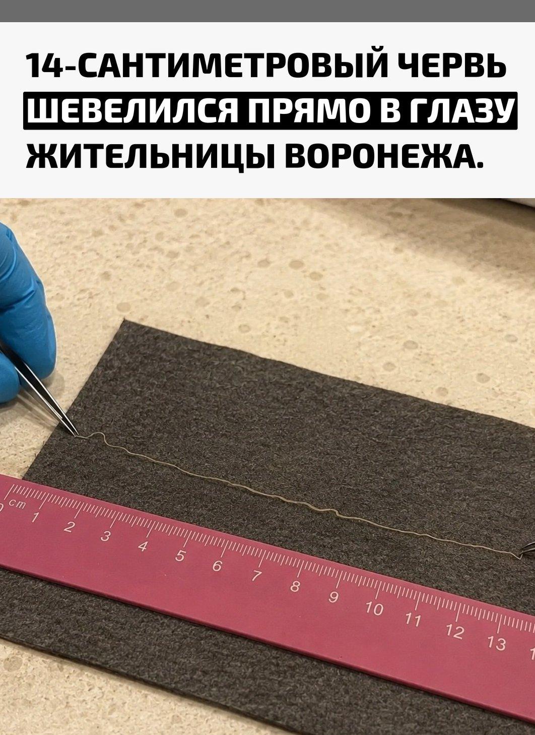 Рекорды и факты каждый день!