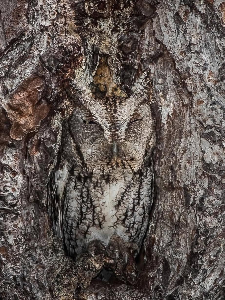 Рекорды и факты каждый день!