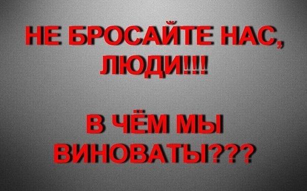 &#127384;&#127384;&#127384;ПРИЮТ НА ГРАНИ КАТАСТРОФЫ((&#127384;&#127384;&#127384;