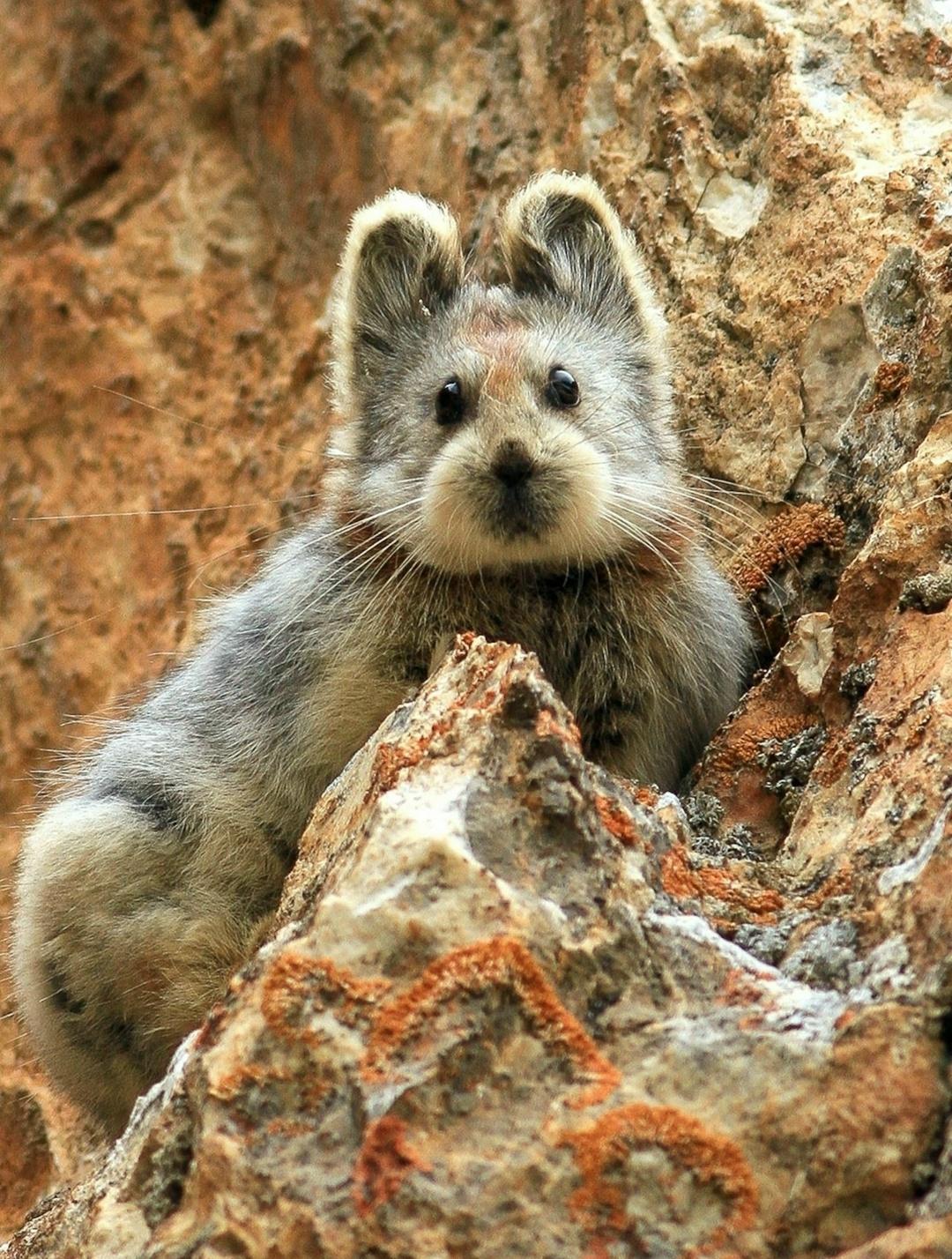 Рекорды и факты каждый день!