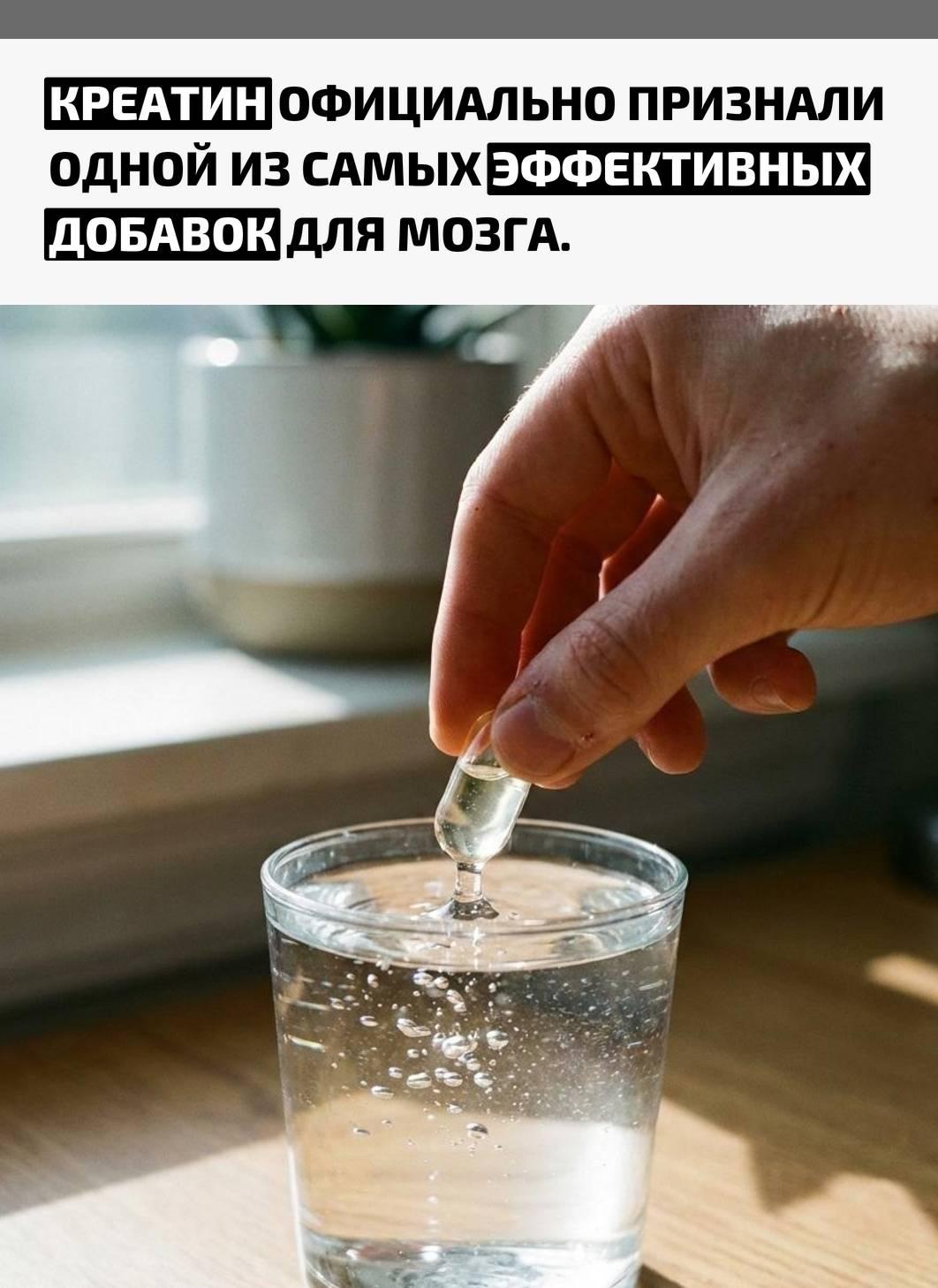 Рекорды и факты каждый день!