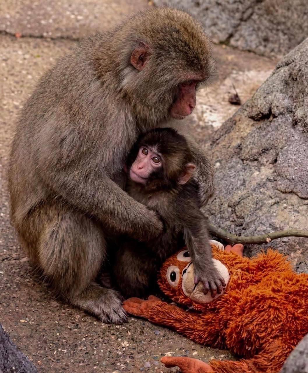 Рекорды и факты каждый день!