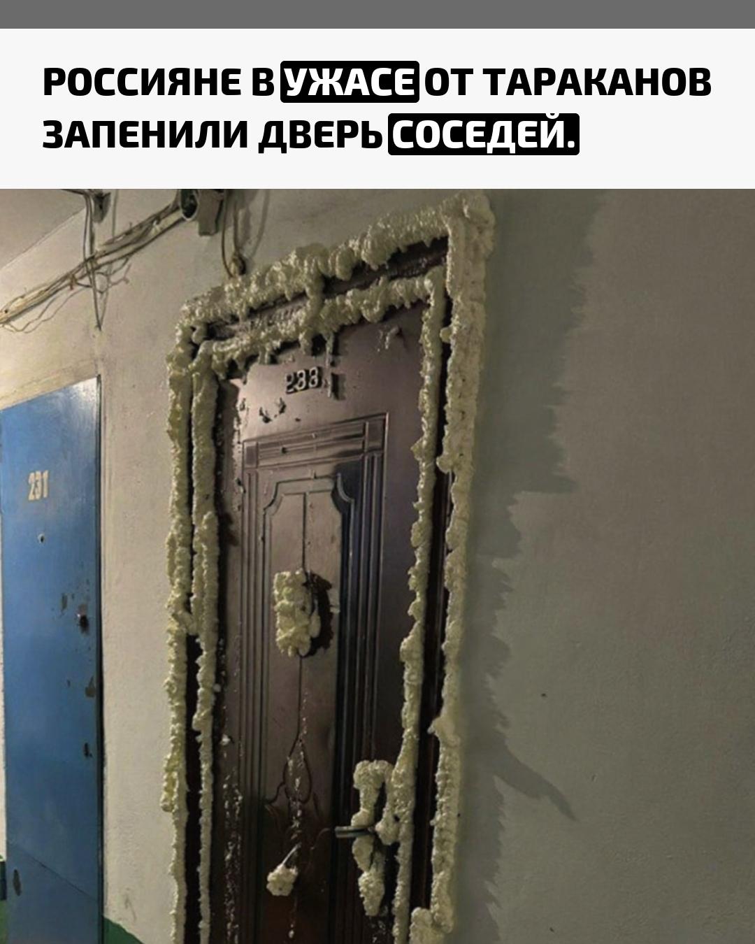 В Кемерове жители многоэтажки решили бороться с нашествием тараканов радикально — они просто заделали дверь соседей монтажной пеной. По словам жильцов, квартира, откуда ползли «усатые захватчики», давно была заброшенной.