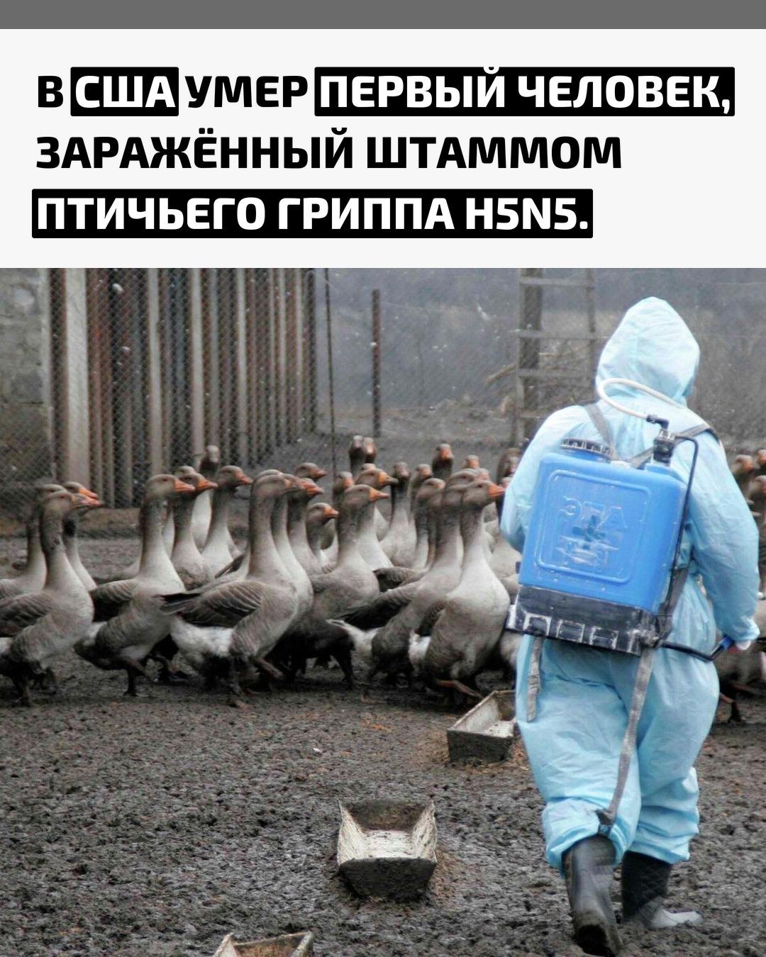 Министерство здравоохранения штата Вашингтон сообщило о смерти пациента, у которого впервые в стране выявили H5N5. Мужчина был госпитализирован, но врачи не смогли его спасти.