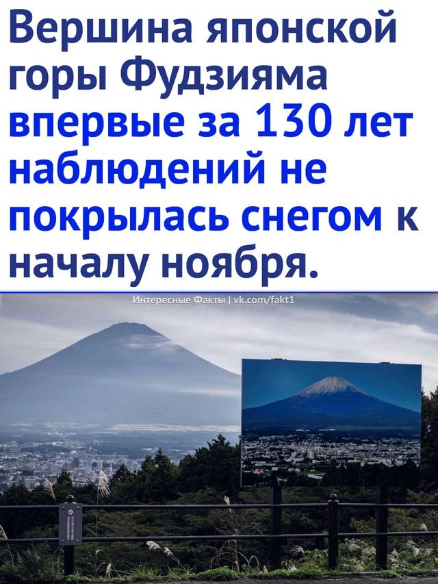 Без комментария