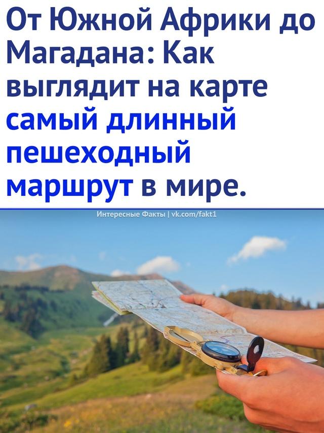 Без комментария