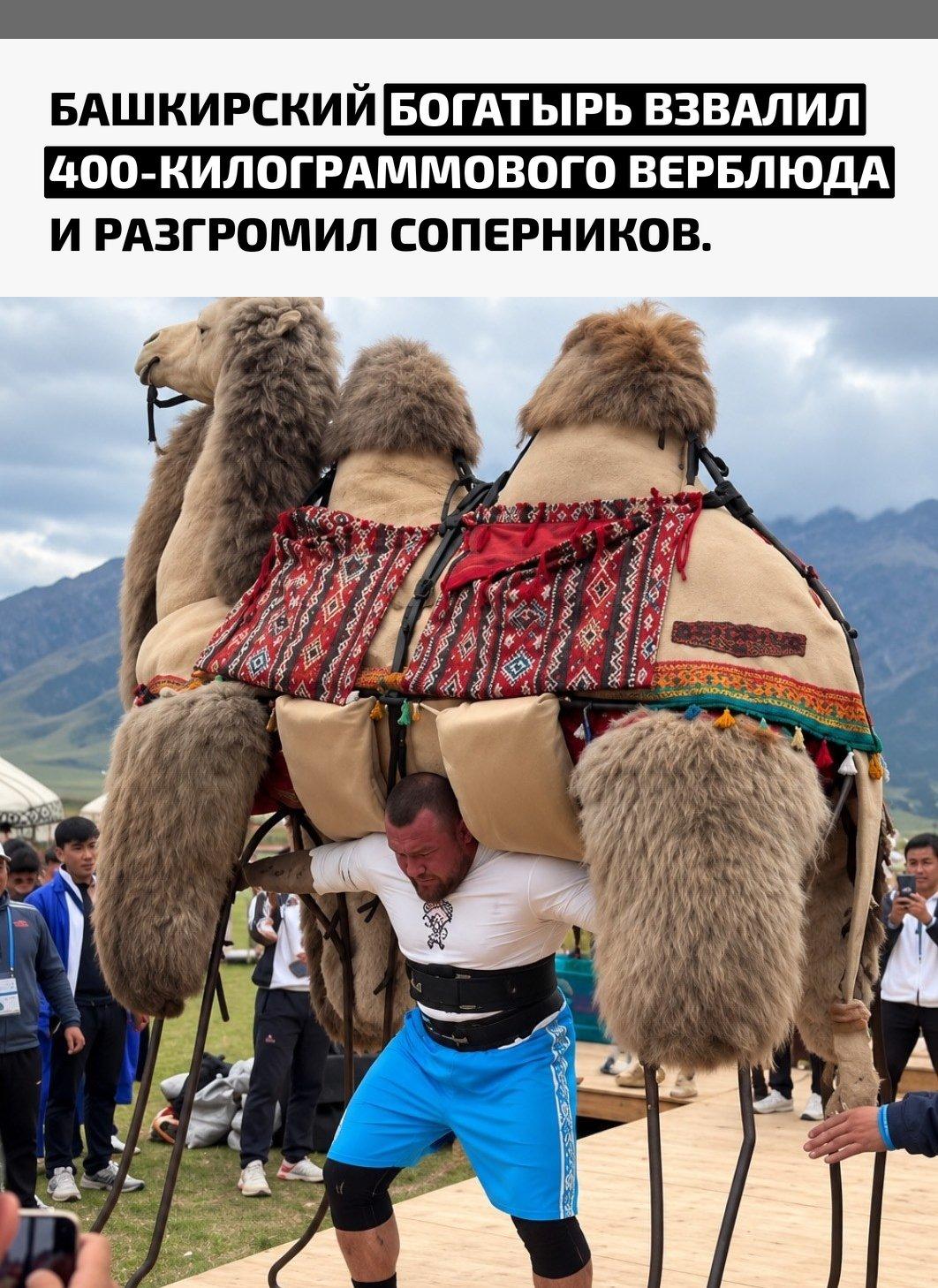 Рекорды и факты каждый день!