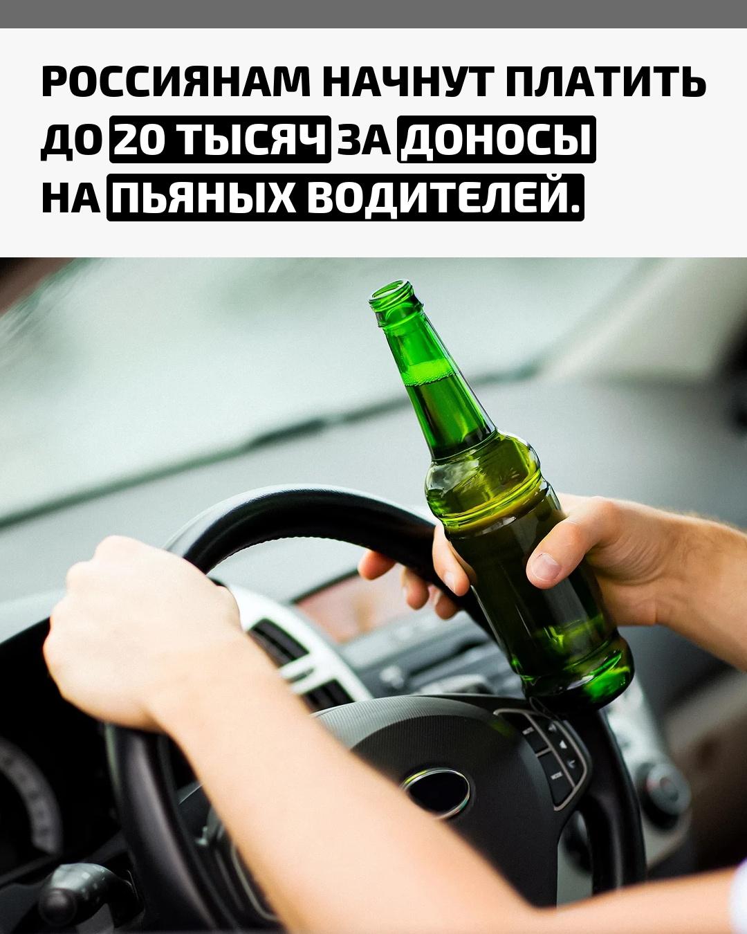 В девяти регионах России заработала система вознаграждений за сообщения о нетрезвых водителях. В Амурской области предусмотрена максимальная выплата — 20 тысяч рублей.