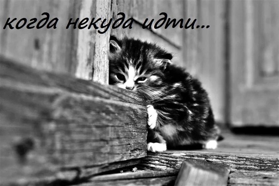 &#128591;&#128591;&#128591;ПОЖАЛУЙСТА, ПОМОГИТЕ СОХРАНИТЬ ПРИЮТ ДЛЯ ТЕХ, КОМУ НЕКУДА ИДТИ!&#128591;&#128591;&#128591;