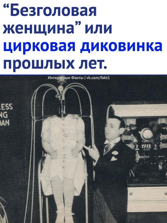Без комментария