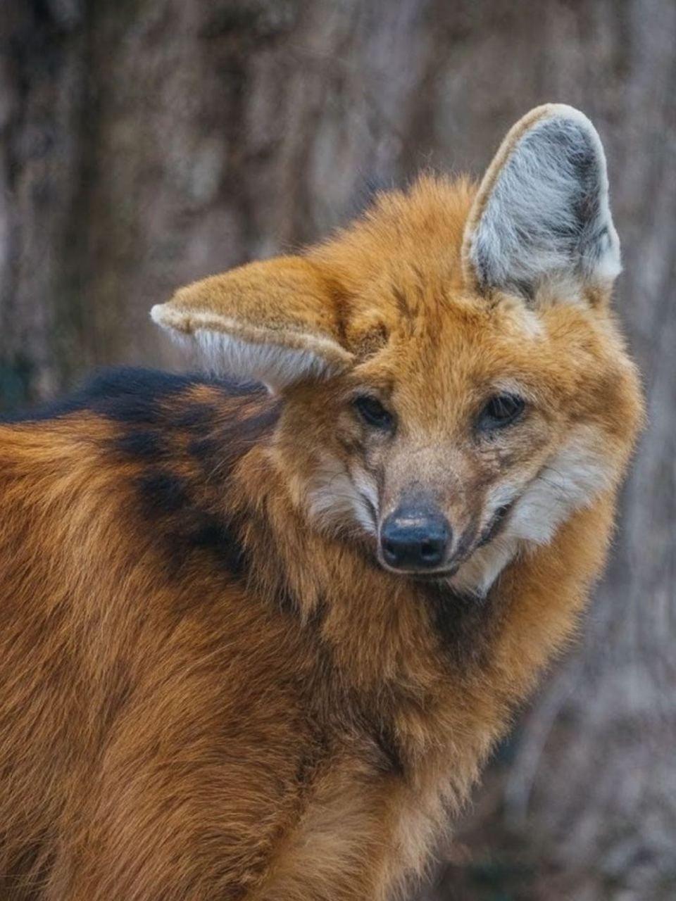 Рекорды и факты каждый день!