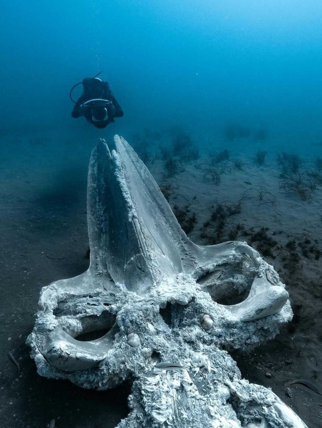 Рекорды и факты каждый день!