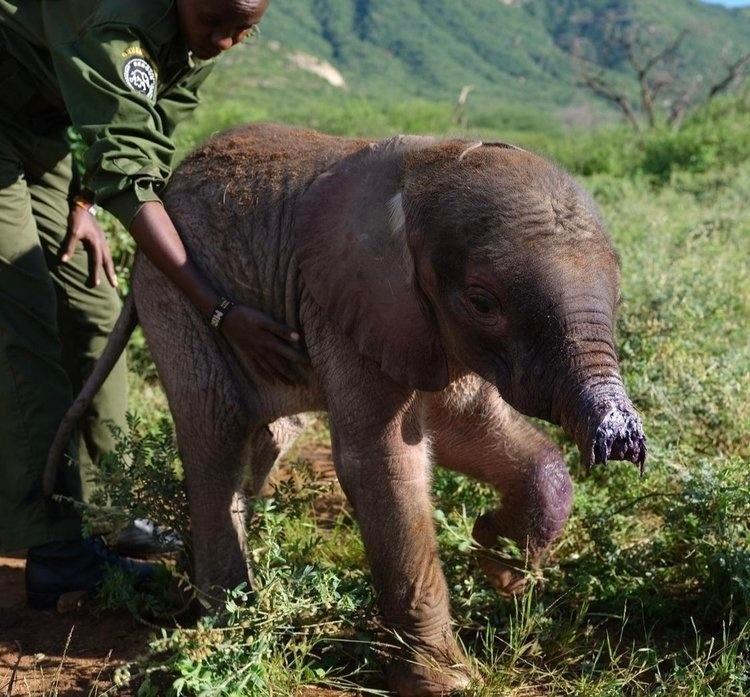 Рекорды и факты каждый день!