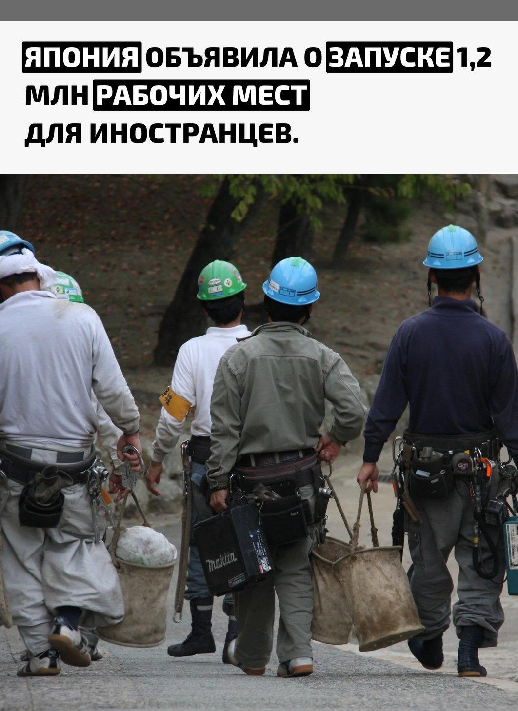 Страна испытывает серьёзный кадровый дефицит в строительстве, медицине и на заводах. На фоне нехватки рабочих рук власти впервые так масштабно открывают рынок труда для приезжих.