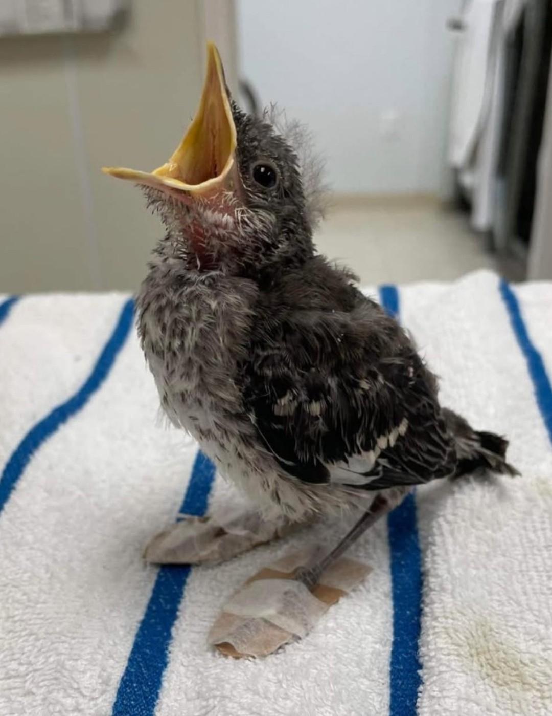 Рекорды и факты каждый день!