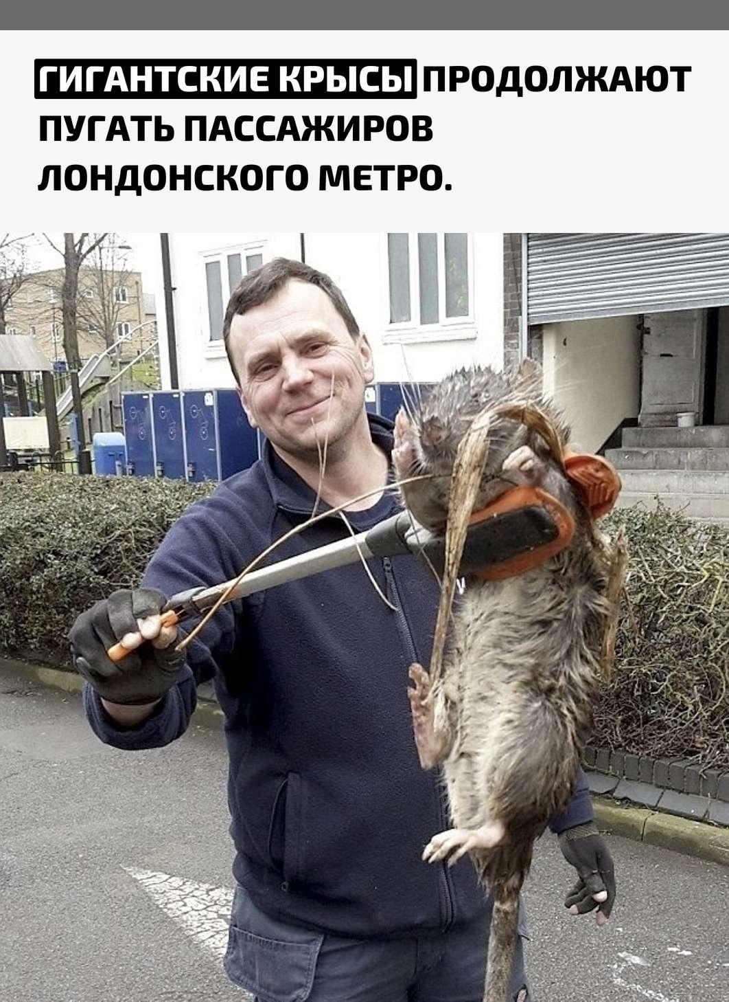 Рекорды и факты каждый день!