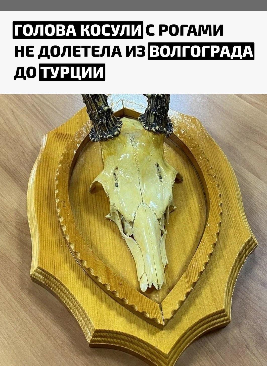 Рекорды и факты каждый день!