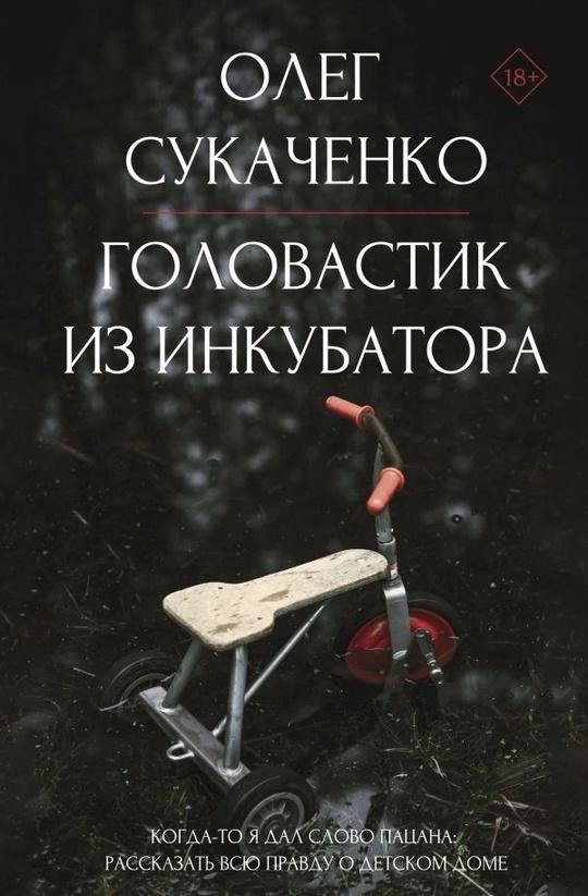 Книга - откровение! Книга - потрясение! Невероятно пронзительная история о маленьком герое, который сумел переиграть злую судьбу и остаться при этом человеком! Когда-то он дал слово пацана - рассказать всю правду о детском доме. И сдержал его!