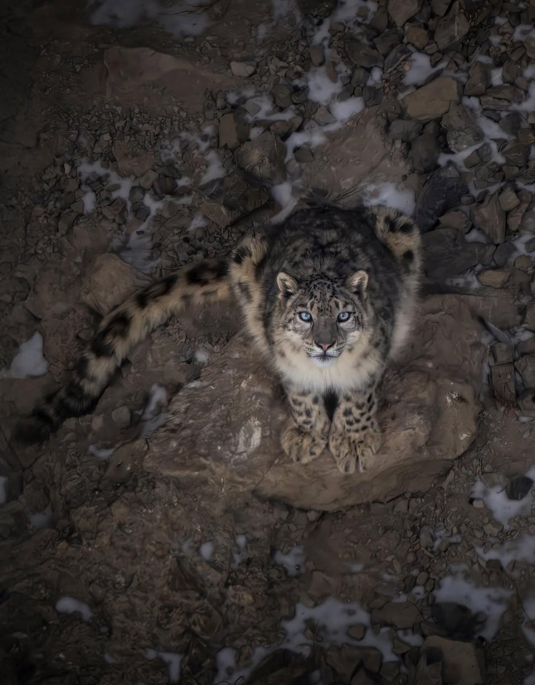 Фотограф Микеле Бавассано рассказал о своей мечте, которая наконец стала реальностью.