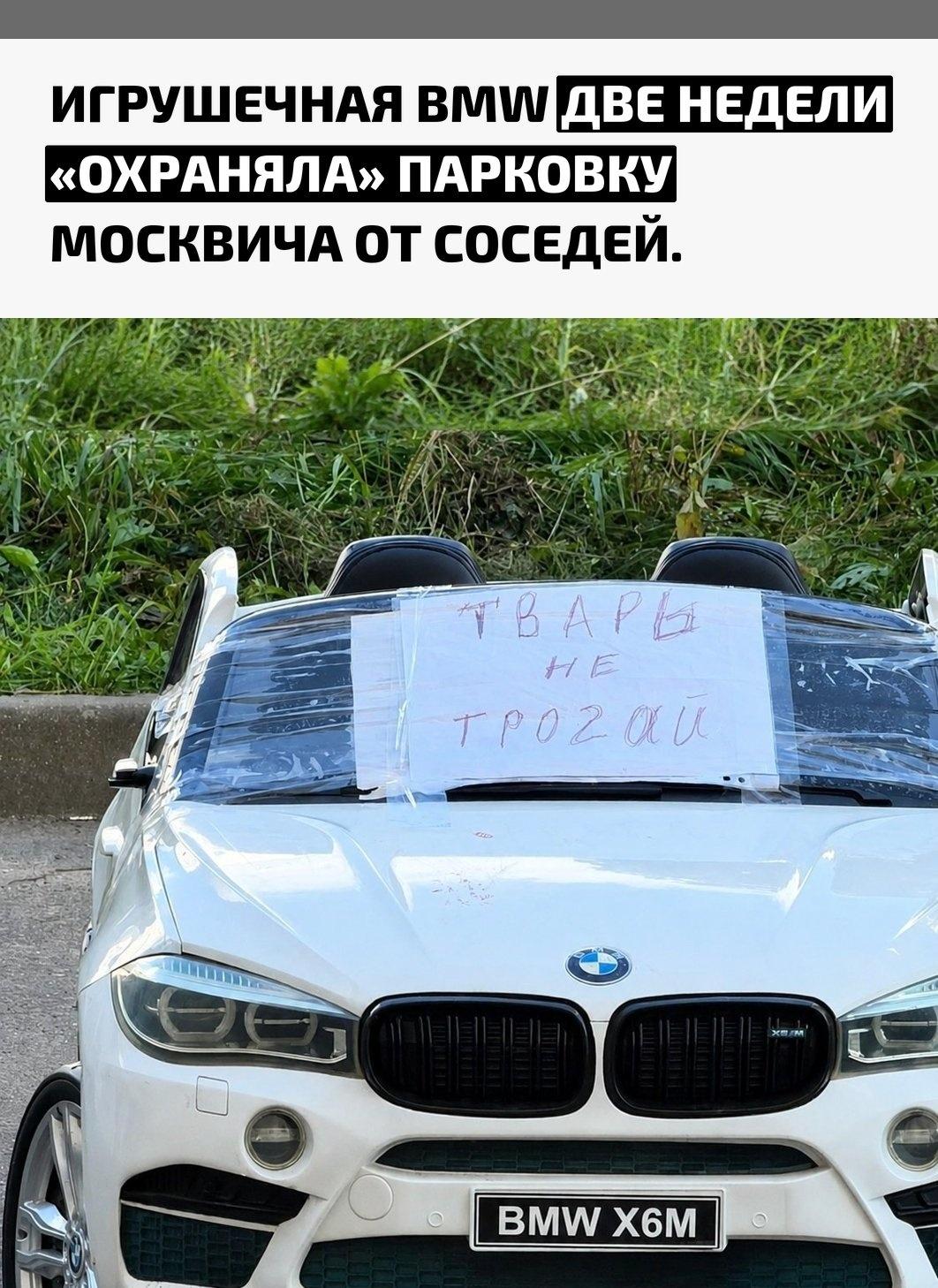 Рекорды и факты каждый день!
