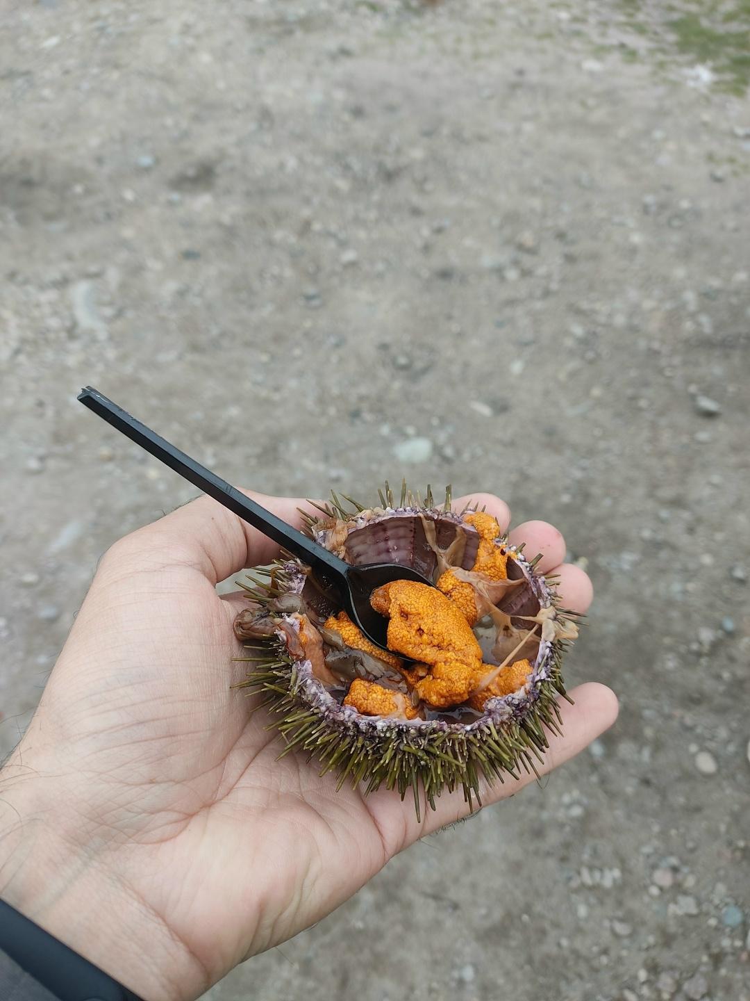 Какая еда заставляет вас задаваться вопросом: «Как люди вообще выяснили, что это можно есть?»