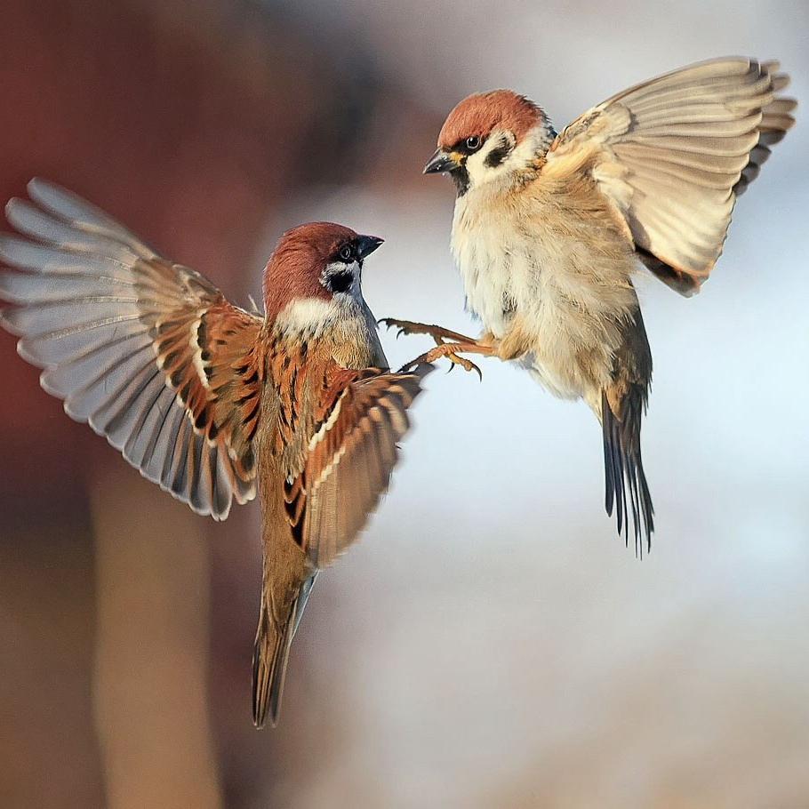 Рекорды и факты каждый день!