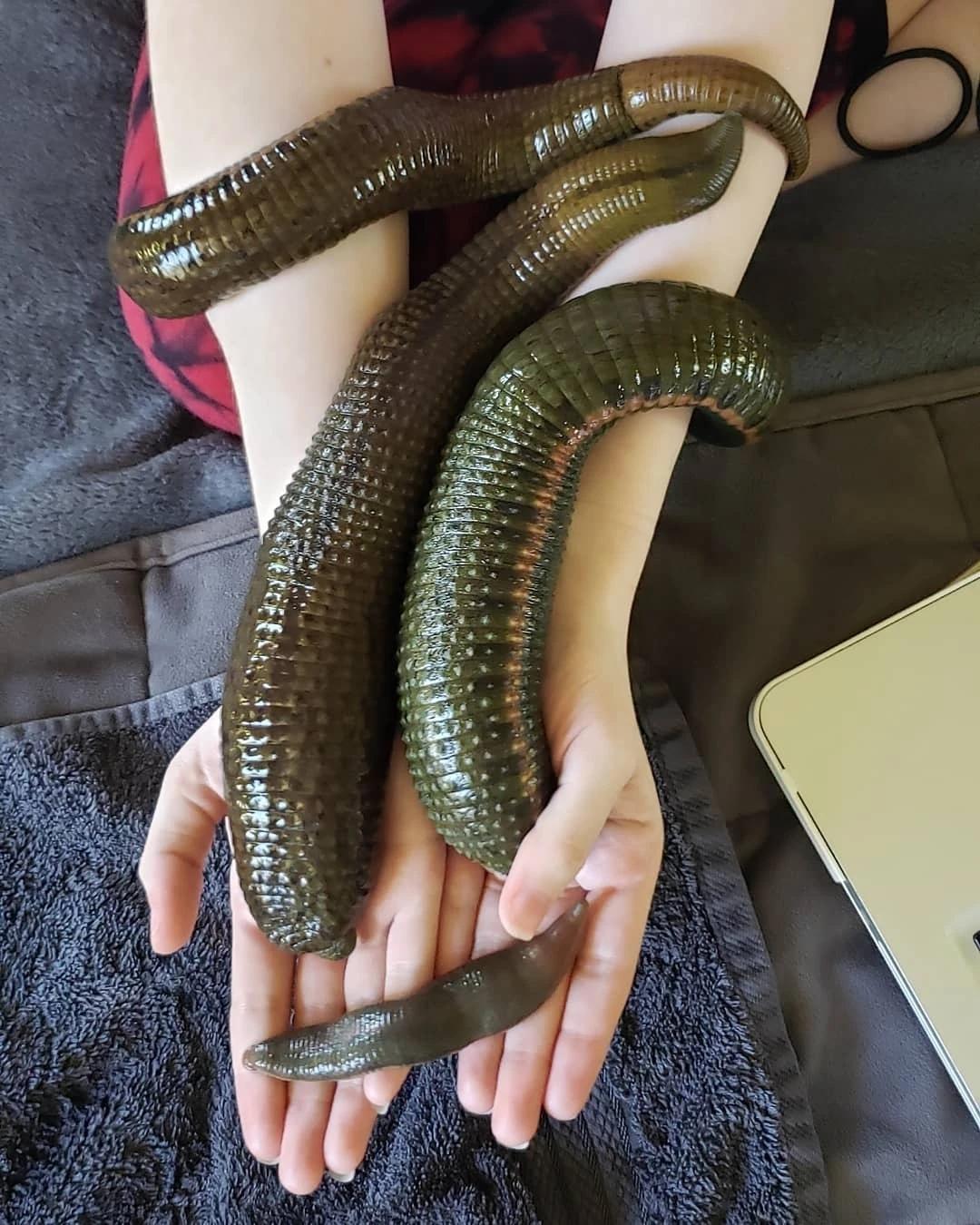 Рекорды и факты каждый день!