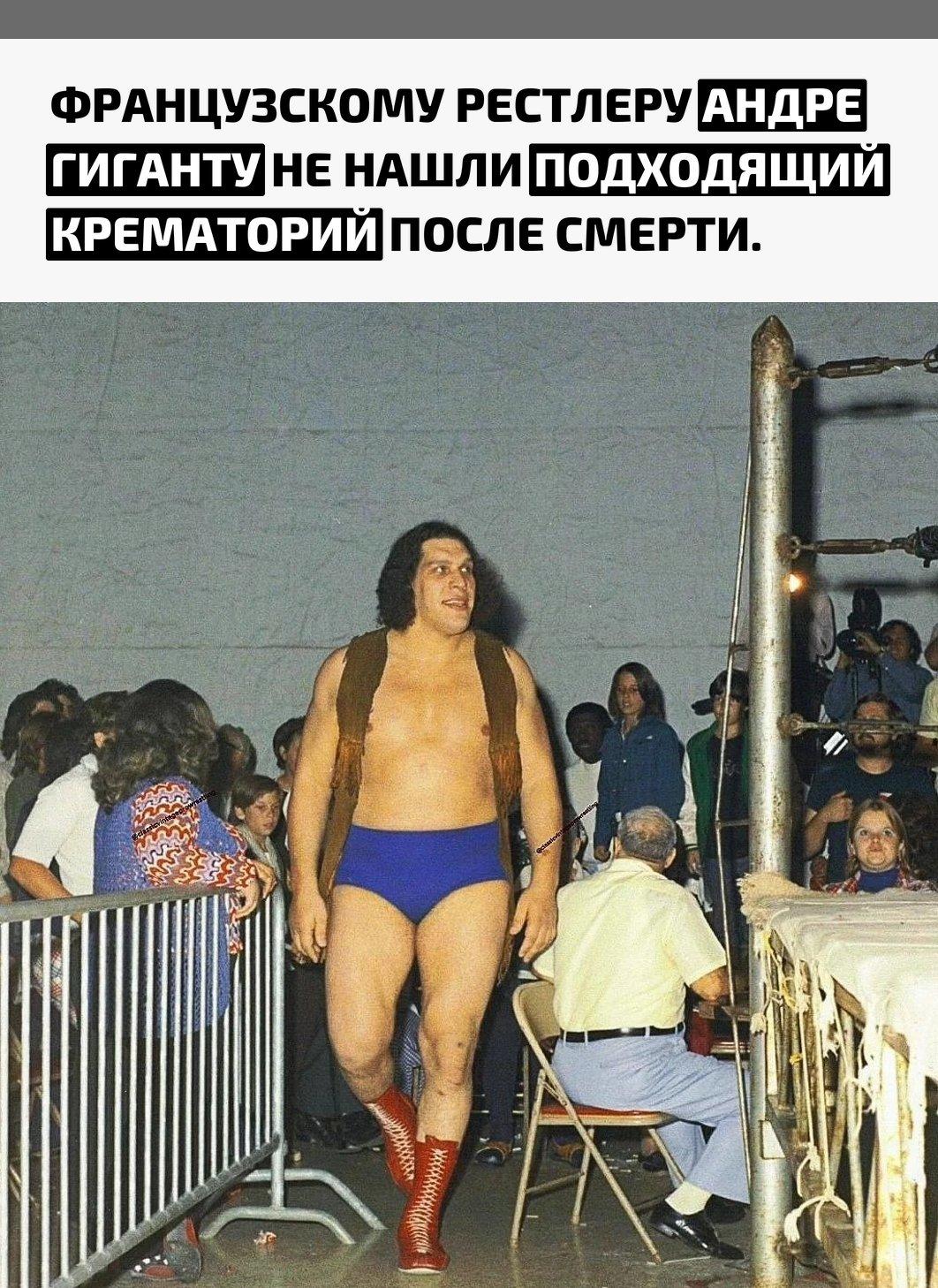 Рекорды и факты каждый день!