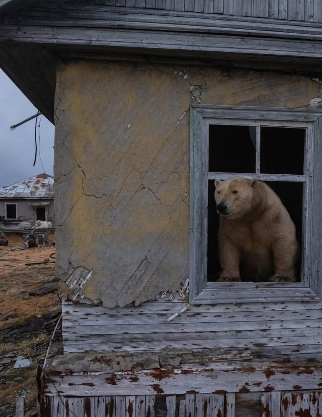 Рекорды и факты каждый день!