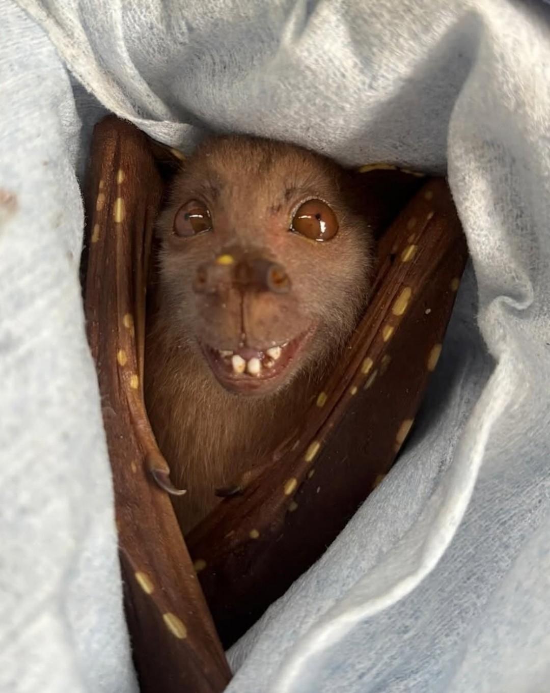 Рекорды и факты каждый день!