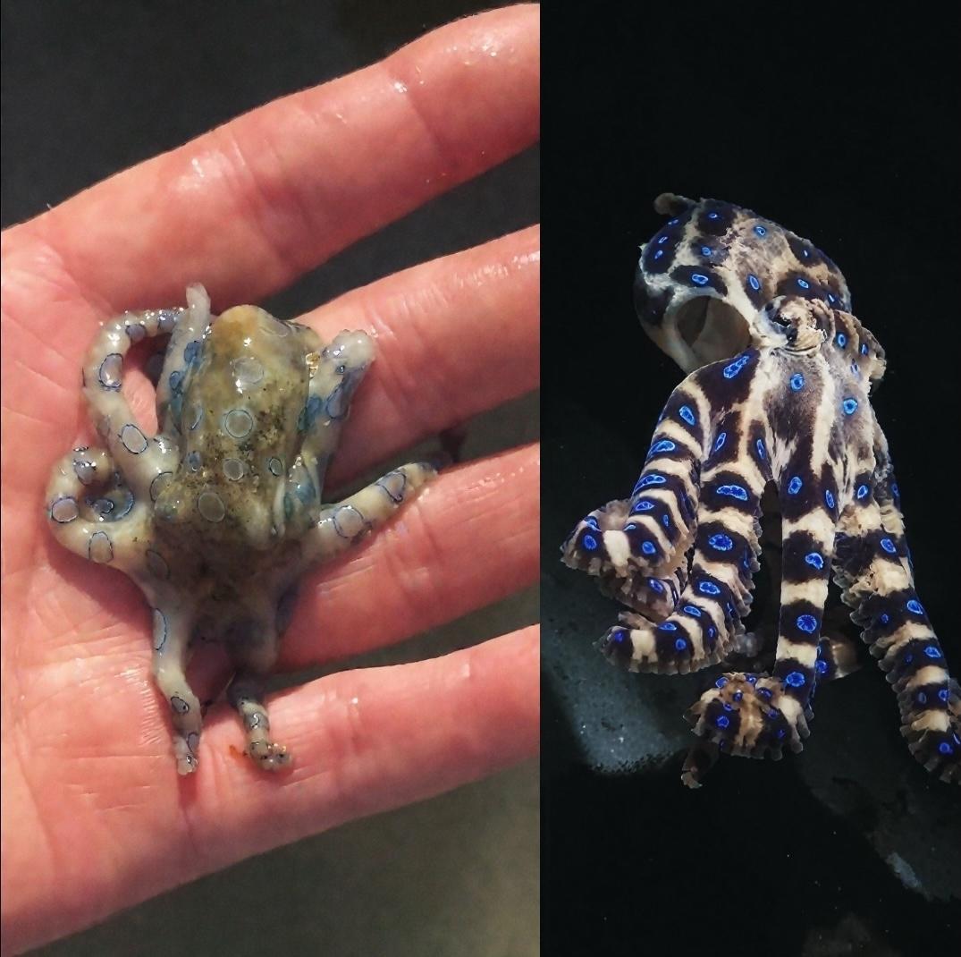 Рекорды и факты каждый день!