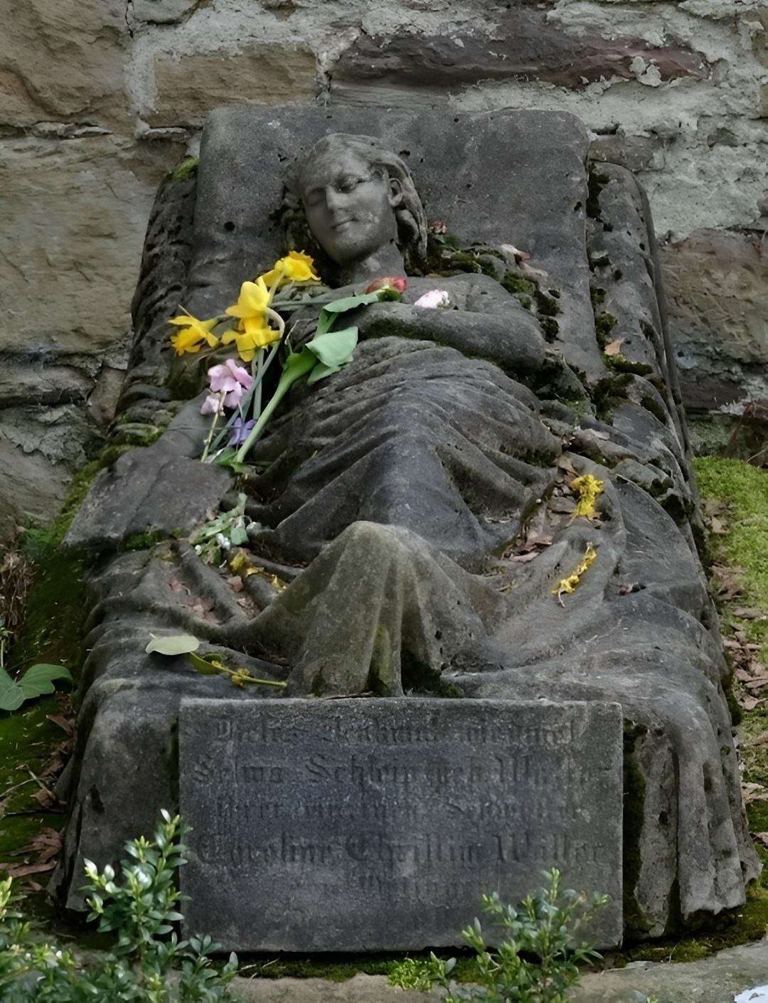 Рекорды и факты каждый день!