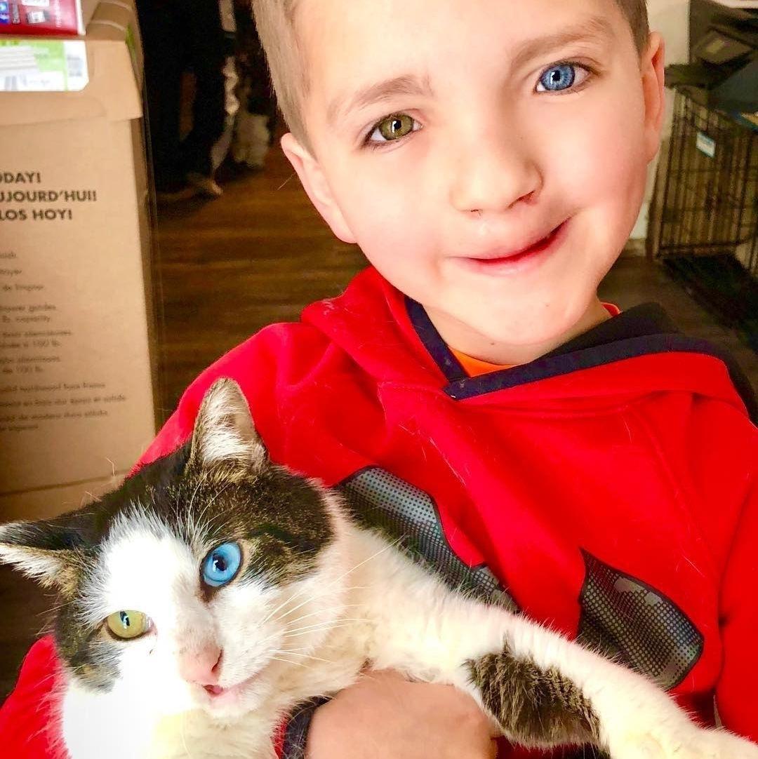 Это одна из тех историй, которые невозможно читать без улыбки.