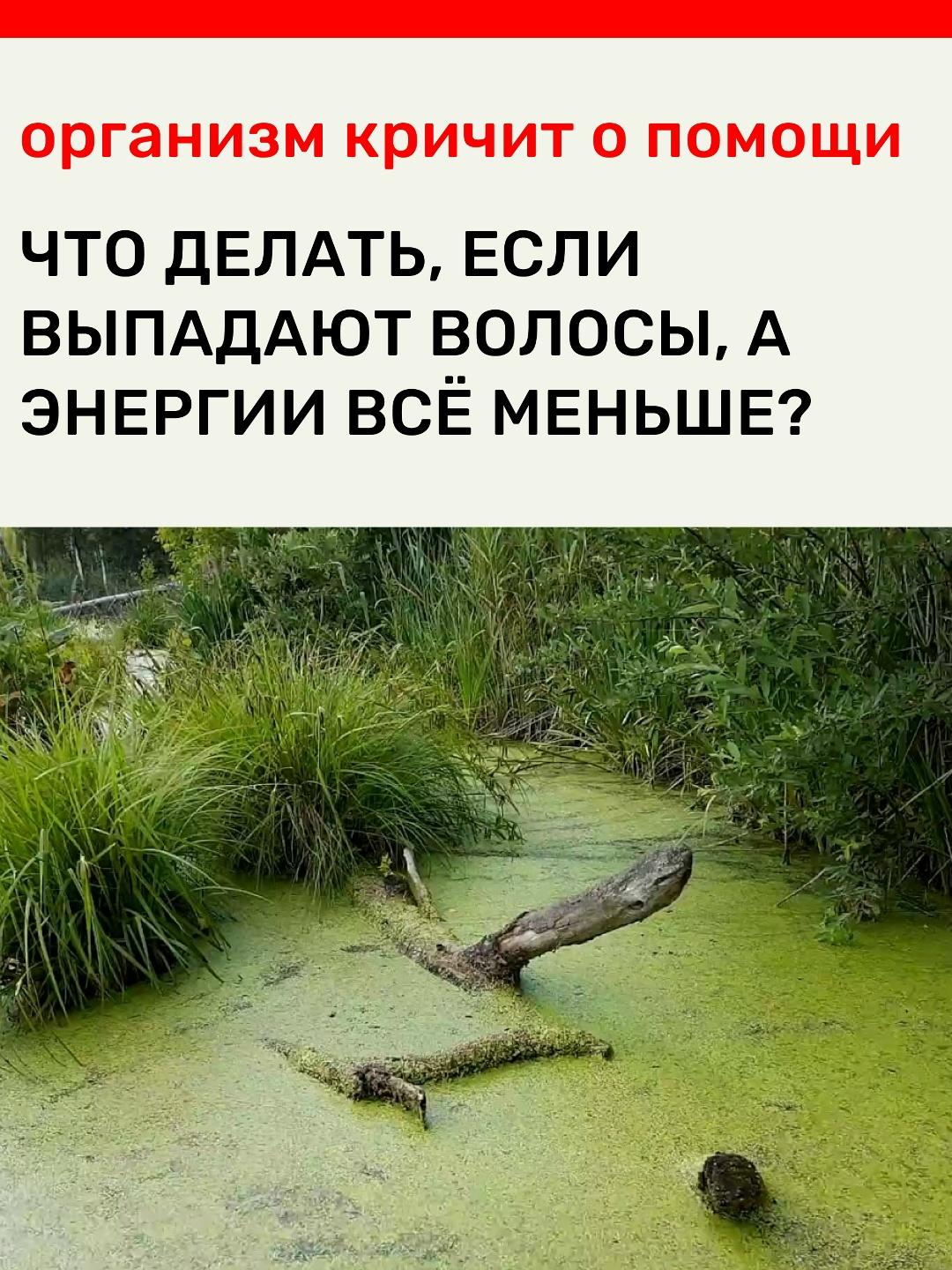 ⚠️ Если энергии мало, а на расческе остается целая прядь волос— остановитесь.