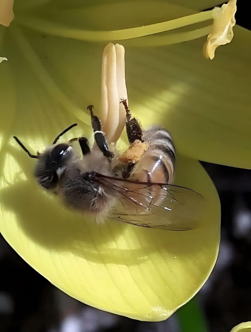 Рекорды и факты каждый день!